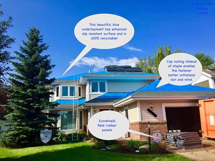 safe roofing repair replacement service in Edmonton